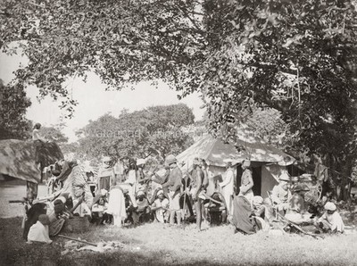 India Tiger Hunt Big Game Hunting Elephant Camp Hunters Vtg. Photo 19thC.