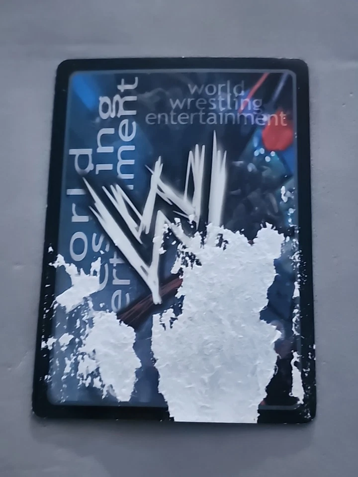 WWE RAW DEAL SS2 BROTHERS 'TIL THE END UNDERTAKER KANE ULTRA RARE - Image 2 of 4