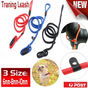 slip lead dog leash