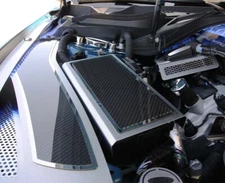 2015-2020 MUSTANG - FUSE BOX COVER BRUSHED STAINLESS W/CARBON FIBER TOP PLATE