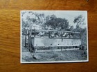 WWII black & white original photos of (4) US Camp scenes on Morotai Island — photo 3