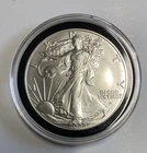 2022-W American Silver Eagle