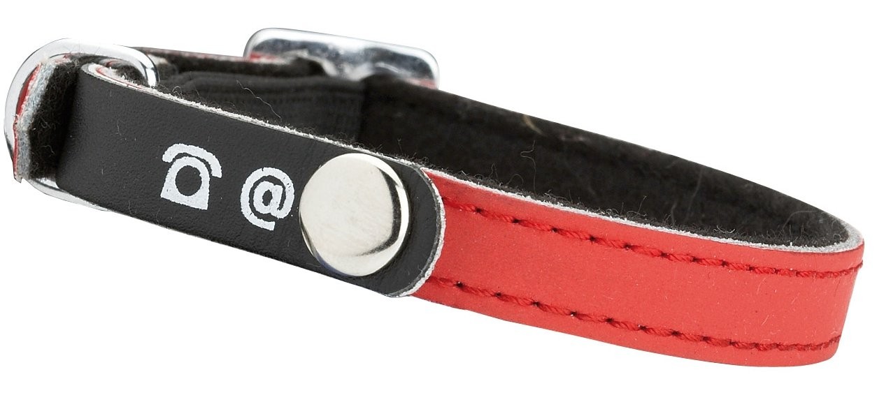 Collier chat réfléchissant simili cuir avec adresse personnalisable pour chaton et chat adulte
