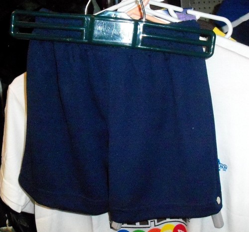 VINTAGE CHASE #24 DUPONT JEFF GORDON YOUTH KIDS POLYESTER GYM SHORTS X LARGE NWT - Picture 2 of 2