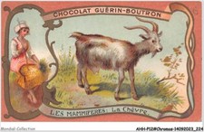 AHHP12-2314 - CHROMOS - SCHOKOLADE-GUERIN-BOUTRON - PARIS - Die Säugetiere -