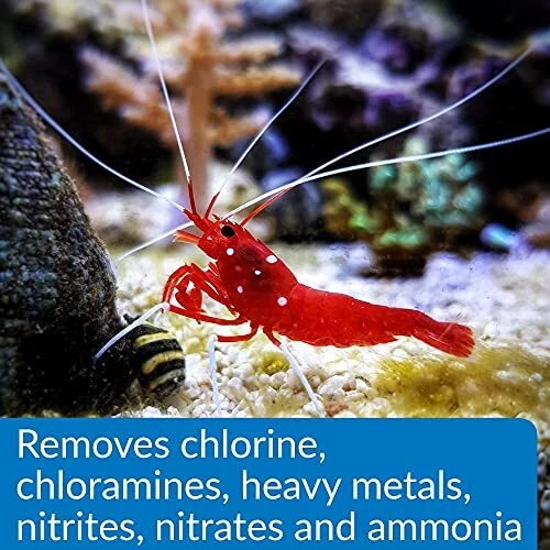 API Aqua Essential Water Conditioner 16oz Dechlorinator Ammonia Remover - Image 4 of 4