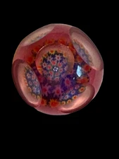 RARE FIND signed  KAZIUN PAPERWEIGHT BUTTON  millefiori  cranberry 5 windows 5/8