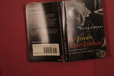 342552 Peter Bucky DER PRIVATE ALBERT EINSTEIN ECON Taschenbuch Verlag Gespräche
