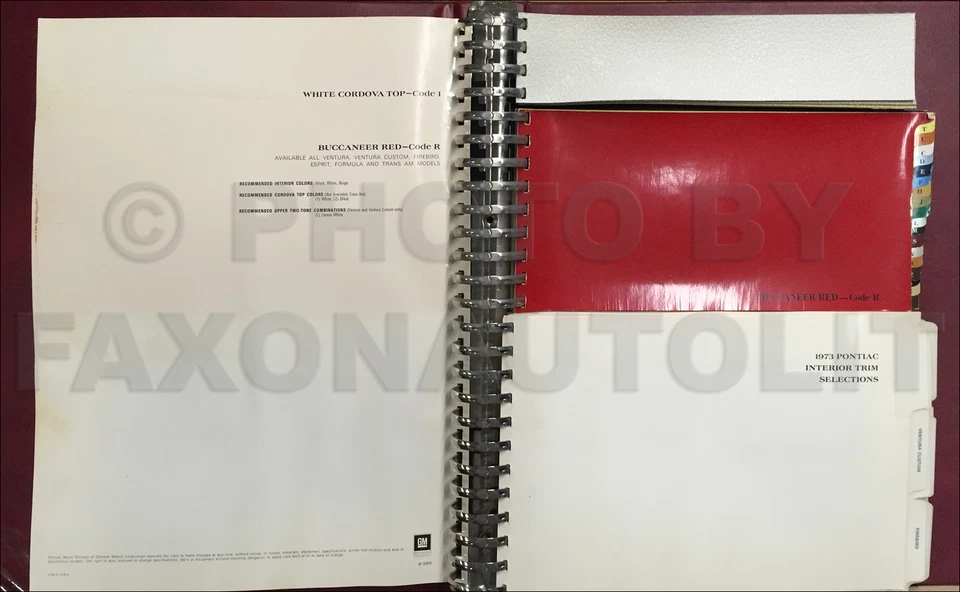 1973 Pontiac Colore E Tappezzeria Venditore Album Trans Am Firebird Gto Lemans - Immagine 2 di 2