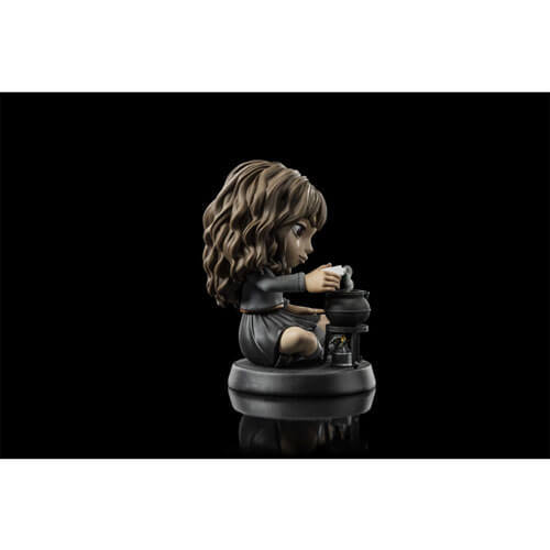Funko Pop Harry Potter Hermione Granger as Cat Polyjuice Potion– Display Geek, Inc