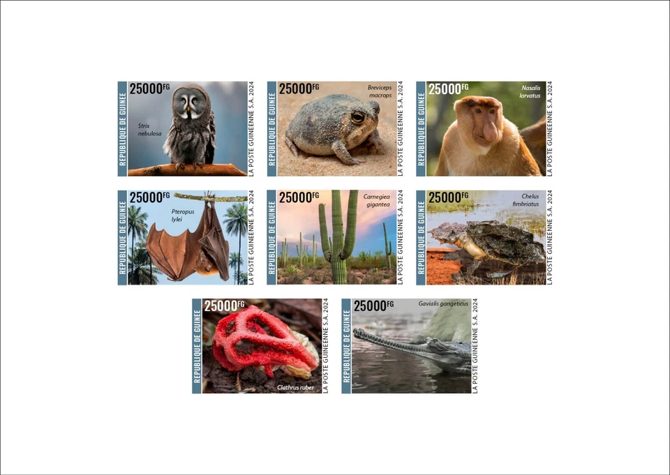 GUINEA 2024 DELUXE PROOF - OWL FROG MONKEY BAT CACTUS TURTLE MUSHROOM CROCODILE - Image 1 of 1