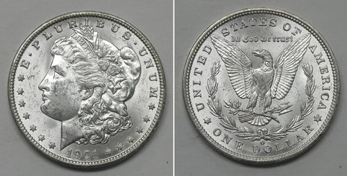 X7607  1901-O Morgan Dollar, Choice BU