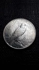 1925  Peace Silver Dollar    SM-70 A  (I don't collect them--Good Luck)