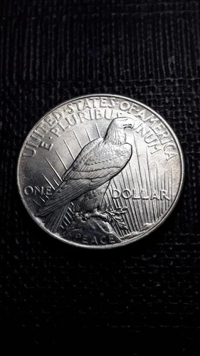 1925  Peace Silver Dollar    SM-70 A  (I don't collect them--Good Luck)