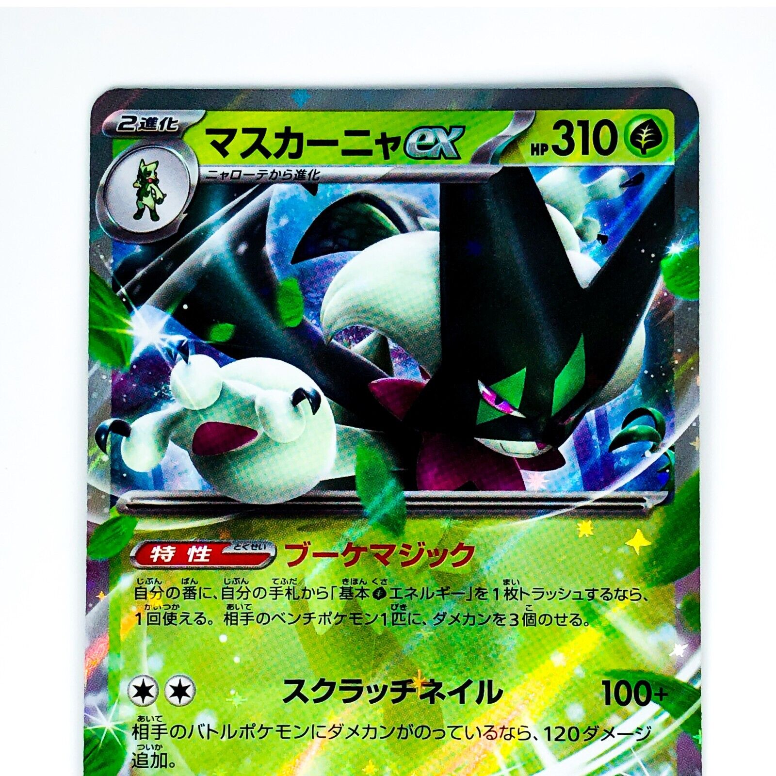 Retrospectiva 2021 do Pokémon TCG por Rainha Cat