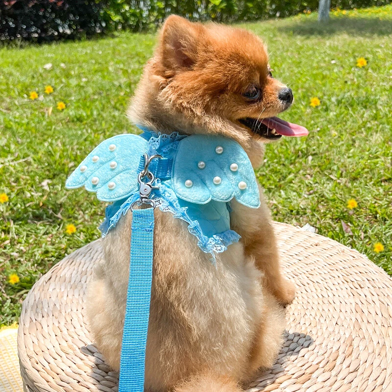 Dog Harness and Leash Set Breathable Soft Vest Harness for Small Pet Cat Puppy