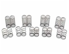 AVID AV1300-1303-SET 13mm Precision Carpet Springs F/R Set