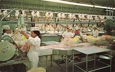 CA, Apple Valley, California, Jess Ranch Plant, Interior View, Ray Kleinke Pub