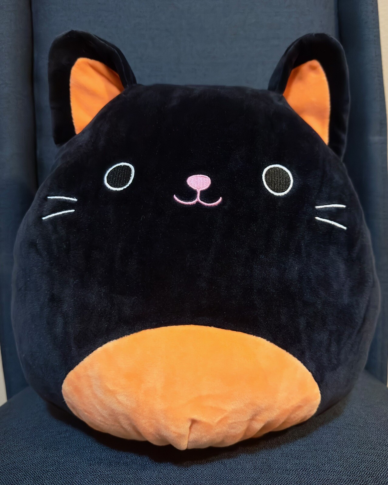 squishmallow colton