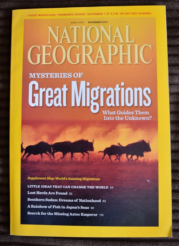 NATIONAL GEOGRAPHIC MAGAZINE - NOVEMBER 2010 - Great Migrations