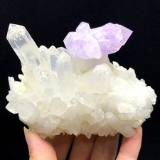 450G Natural Clear and Amethyst Cluster Crystal Specimen Freeform Energy Healing