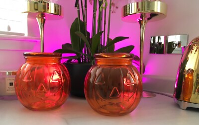 TKMaxx Homesense Orange Glass Large Pumpkin Storage Cookie Jar