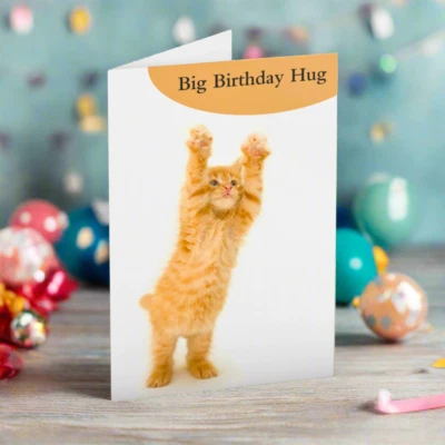 FABULOUS FELINES Funny Cat Greeting Card Big Birthday Hug Ginger Cat Lovers Humorous Greetings