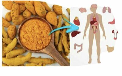 Bio Kurkuma Wurzel (Tumeric) 100% rein (Kurkuma Longa) Pulver 100g Immunität