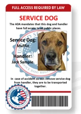 SERVICE dog handler ID card printed in vivid full color mailed out same day
