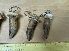 Deer Antler Keychains with Crown Handmade, Unique, Gifts, AWESOME  Lot of 3