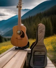 Seagull S6 Coastline Gt Dreadnought Natural Cedar Acoustic Guitar W Tan Gigbag 