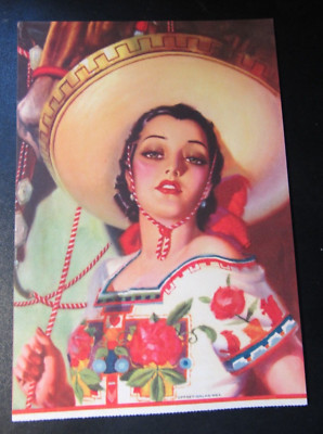 Vintage Pullman Eisenbahn Zug Service Mexiko Flyer 9'' x 5'' (fehlende untere Lasche)
