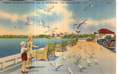 LINEN Postcard     FEEDING THE GULLS, MUNICIPAL PIER  -  ST. PETERSBURG, FLORIDA