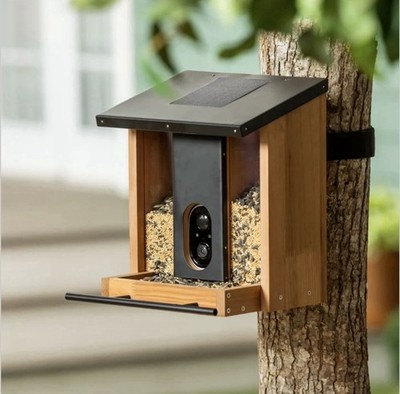 Evergreen Solar Smart Bird Feeder with 1080p HD WiFi Camera