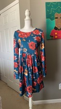 Floral Long Sleeve A-Line Fall Dress NWOT