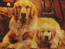    Completed Diamond dotz painting finished Dogs Labrador Dog 12" X 16" dots