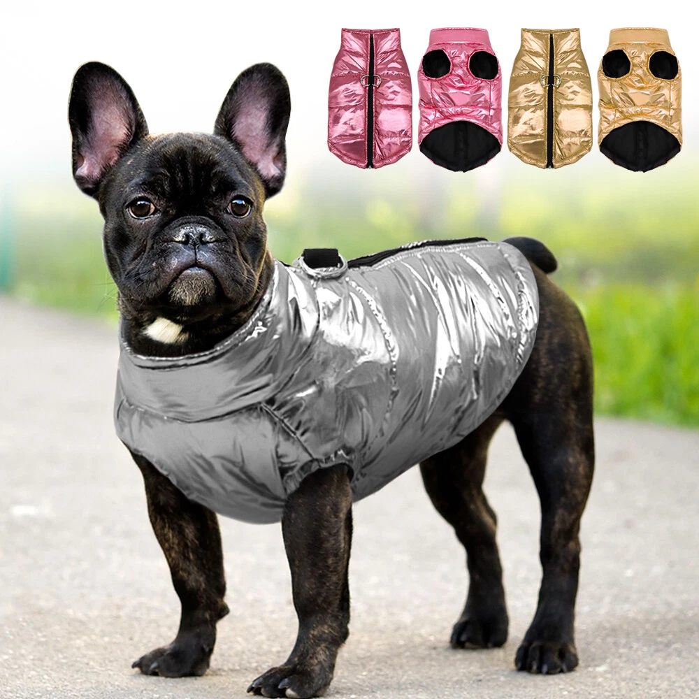 Cappotto Invernale Impermeabile per Cani Taglia Piccola Bulldog Francese  S-XXL