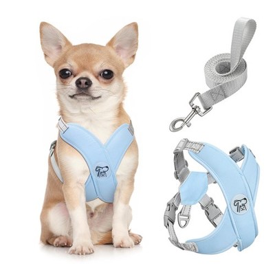 Small Dog Harness and Leash Set, Puppy Harness X-Frame No Pull No Choke, Dog ...