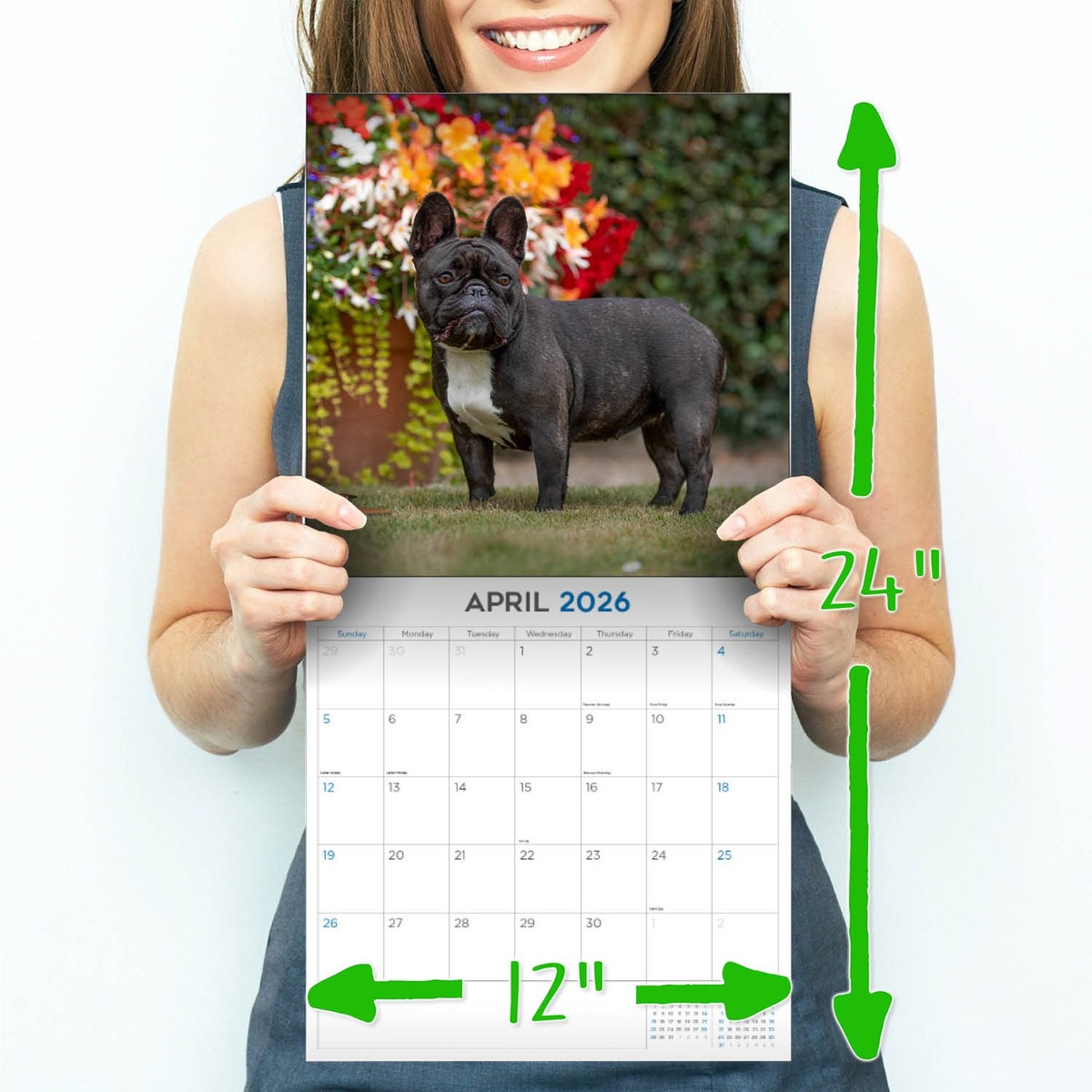 Franse Bulldog 2026 Deluxe Kalender