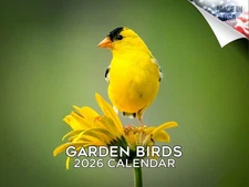 Garden Birds Calendar 2026 12x18 Made in USA