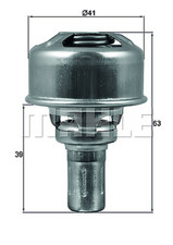 Thermostat Renault R19