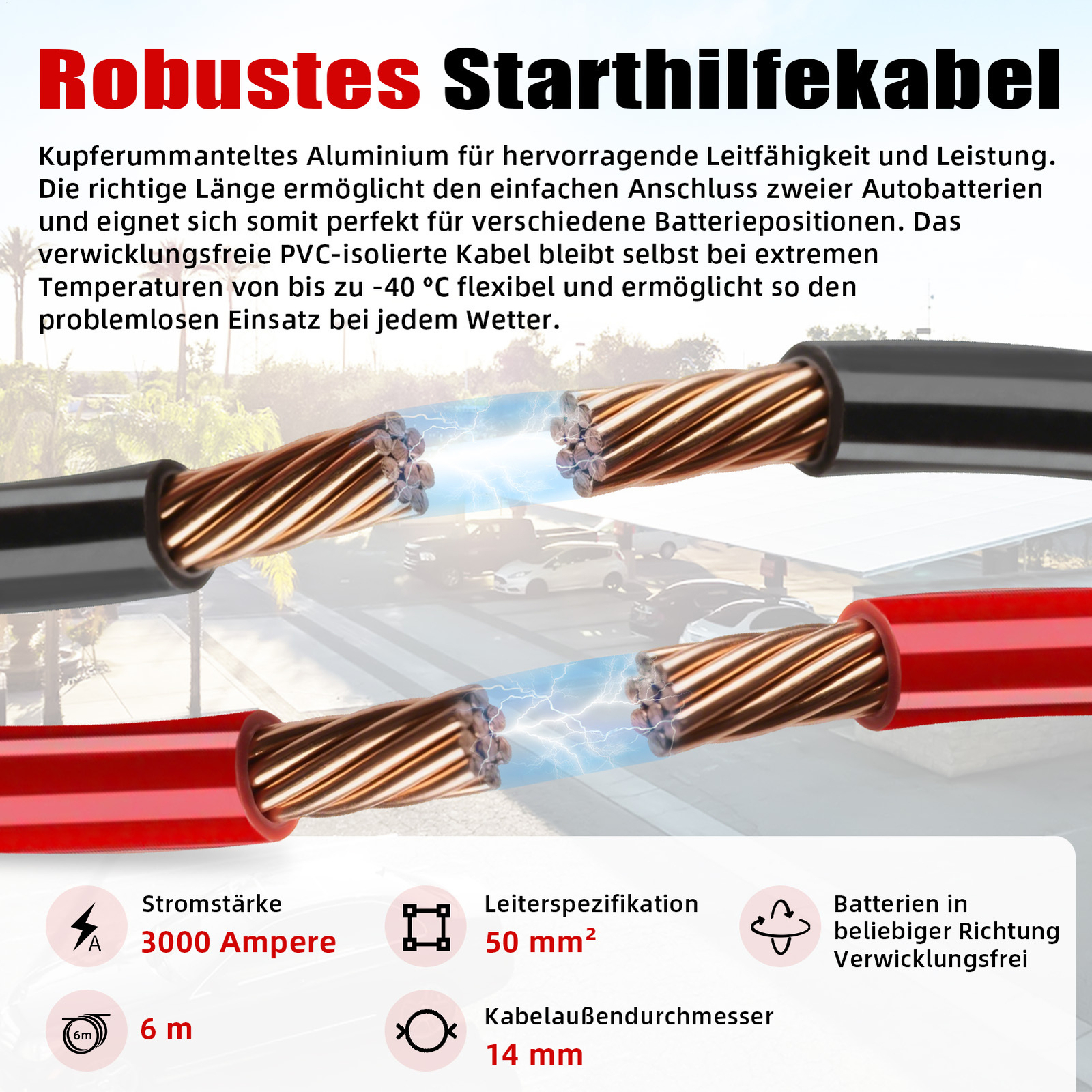 Bild 4 von 9