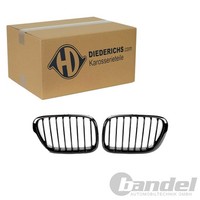Diederichs Sport KÜHlergrill SET Nieren Schwarz GlÄNzend Passend FüR BMW X5 E53