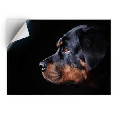 1 x Vinyl Sticker A5 - Rottweiler Dog Portrait Cute #2686 | eBay UK