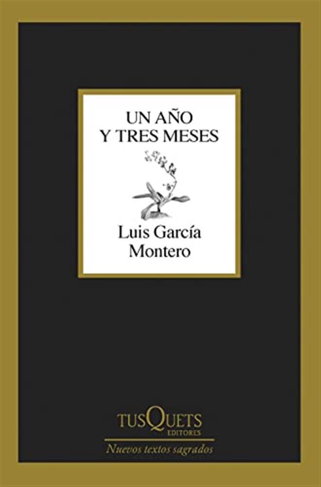 Un año y tres meses - García Montero Luis