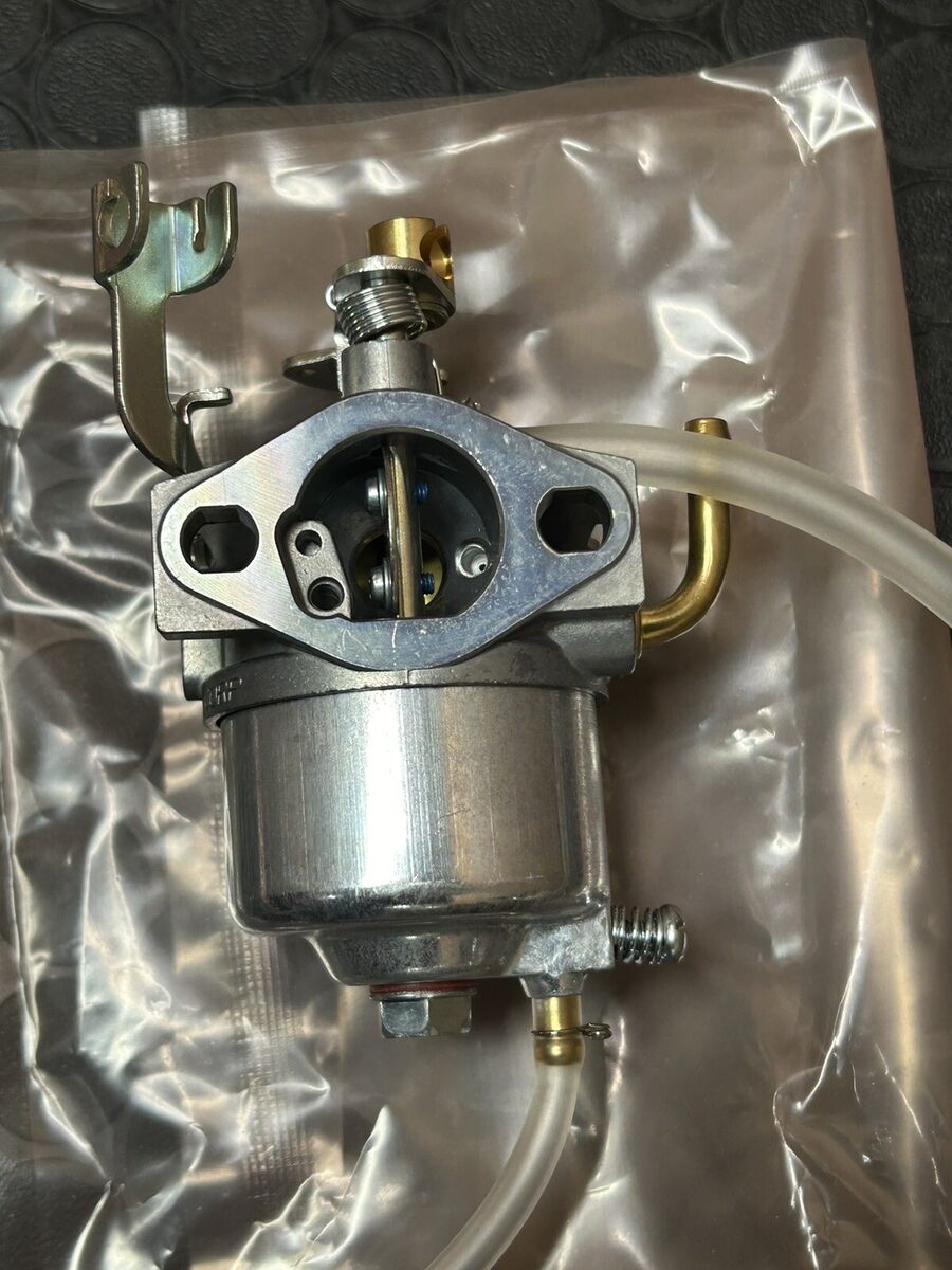 Set Guarnizioni Carburatore Per HONDA EG650, EM650, EX650, G100, GX100 - Foto 11