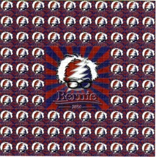 Grateful Bernie Sanders Blotter Art perforated sheet paper psychedelic art