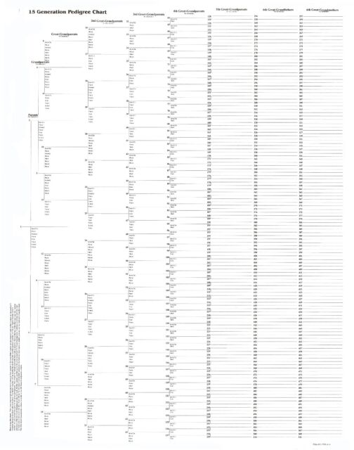 Genealogy Chart