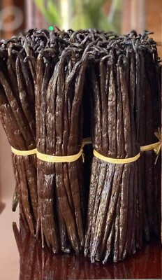 Vanilleschoten Vanillestange Bourbon Vanilla Beans  Baccello di Vaniglia 18-20cm