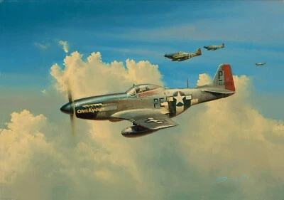 Blue Nose by Richard Taylor aviation art signed by 3 WW2 352nd Mustang pilots - Image 1 of 2